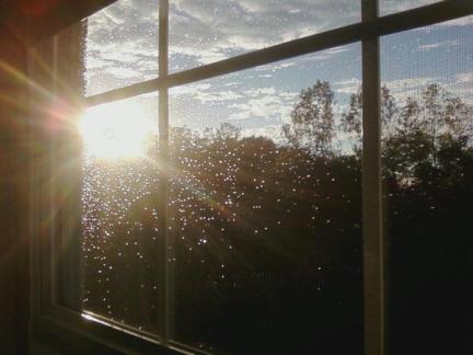 sunshine_after_the_rain__by_erunks-d5dt9p2